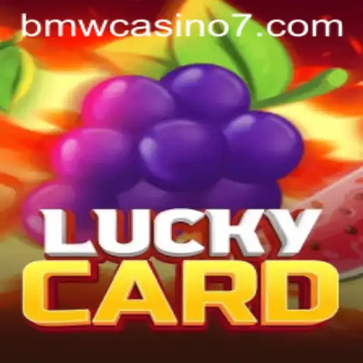 Exploring LuckyCard: The Dynamic Blend of Fun and Strategy