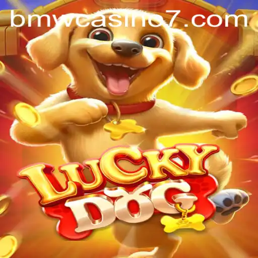 Exploring LuckyDog: An Engaging Experience at the BMW Casino