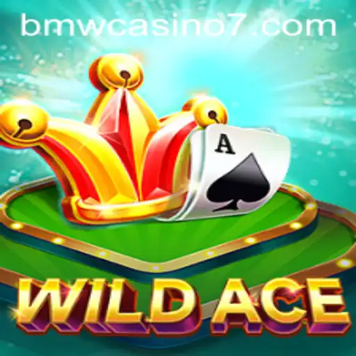 Dive into the Thrilling World of WildAce: The Ultimate Casino Adventure