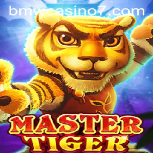 Exploring MasterTiger Game Dynamics